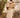 Waterfall Cape ( Short ) | Tan