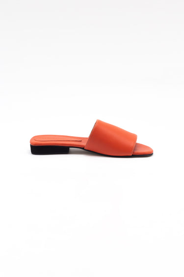 Essential Sliders | Coral